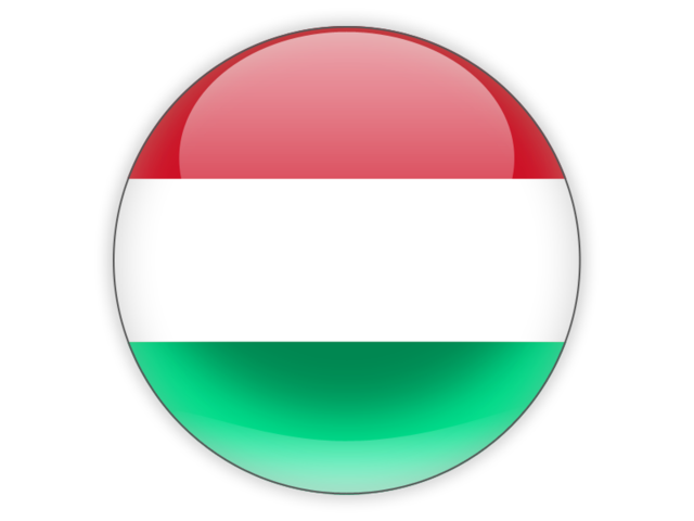 Magyar nyelv